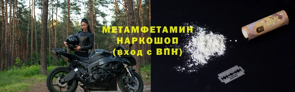 индика Богородицк