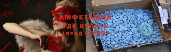 индика Богородицк