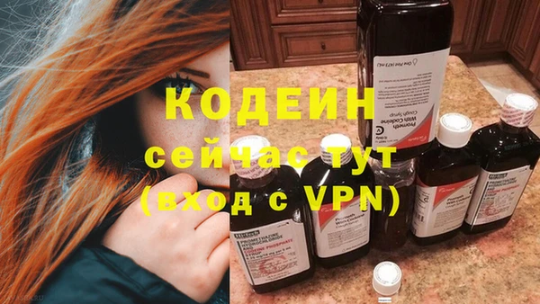 индика Богородицк