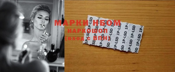 индика Богородицк