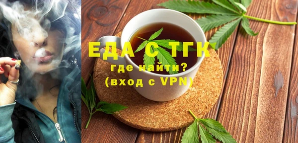 индика Богородицк