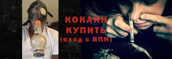 индика Богородицк