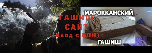 индика Богородицк