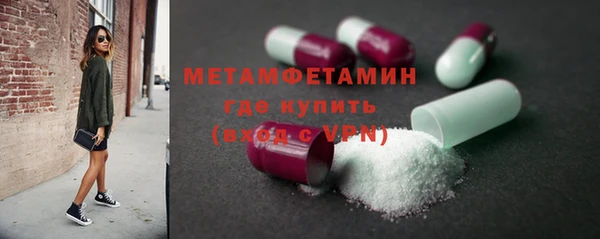 индика Богородицк