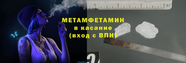 индика Богородицк