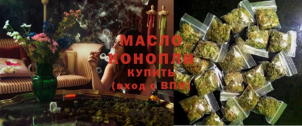 индика Богородицк