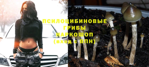 индика Богородицк